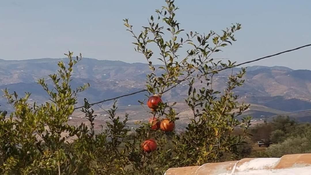 Casa Shyshka Country Cottage Periana Εξωτερικό φωτογραφία