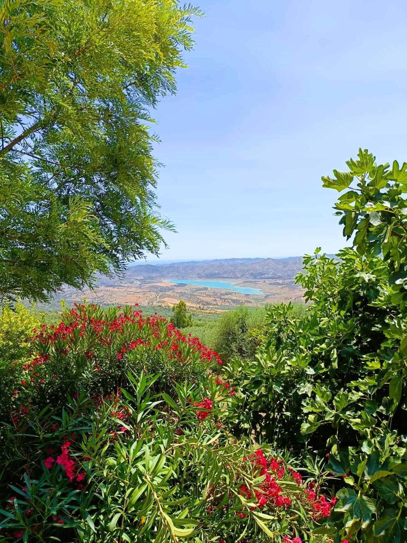 Casa Shyshka Country Cottage Periana Εξωτερικό φωτογραφία