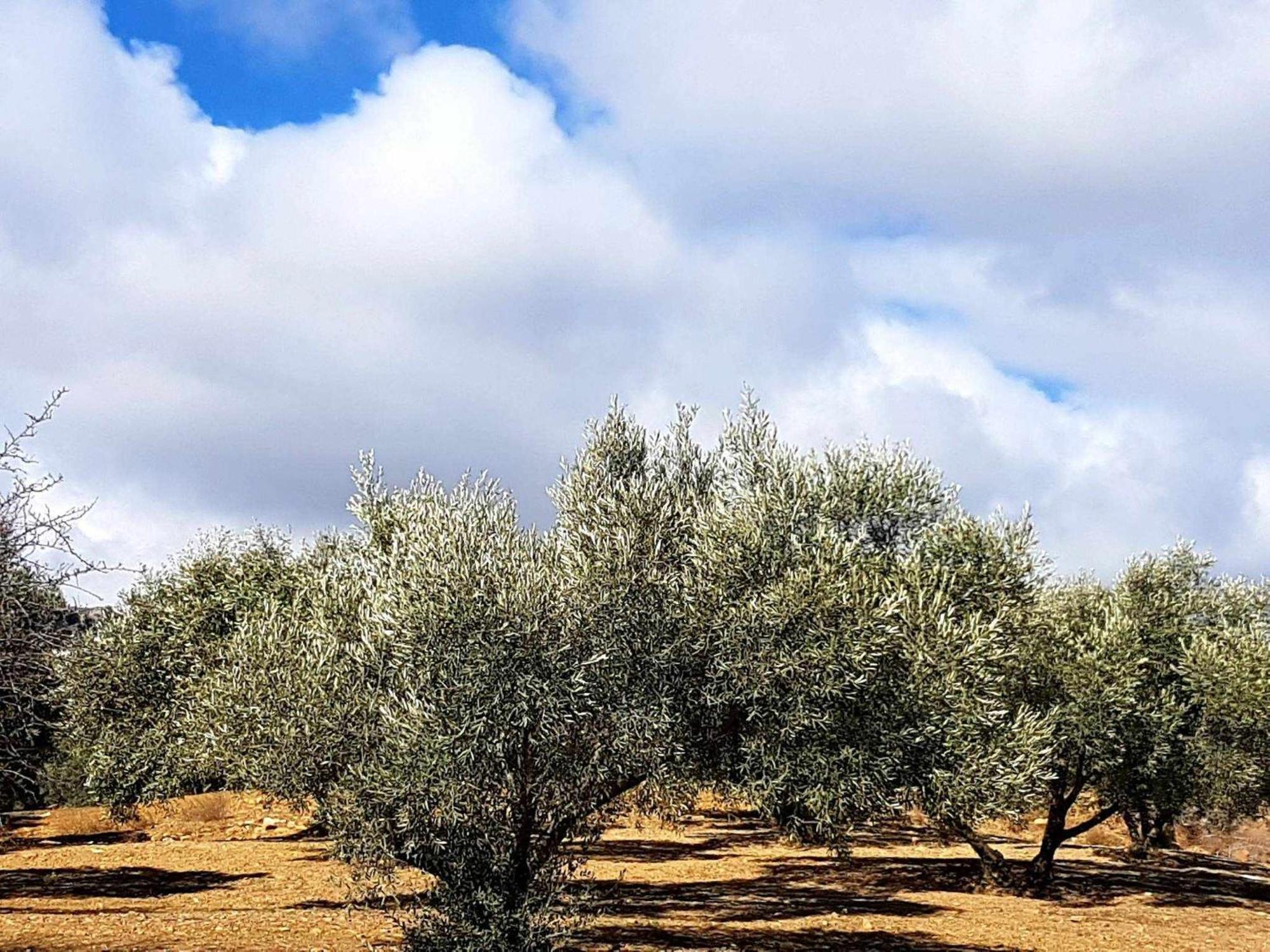 Casa Shyshka Country Cottage Periana Εξωτερικό φωτογραφία